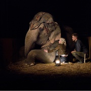 点击查看图片 大象的眼泪 Water for Elephants