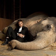 点击查看图片 大象的眼泪 Water for Elephants