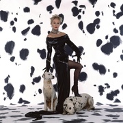 点击查看图片 101真狗 101 Dalmatians