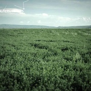 点击查看图片 灵异牧场 Skinwalker Ranch