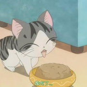 点击查看图片 甜甜私房猫 チーズスイートホーム