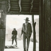 擒贼擒王 Rio Lobo
