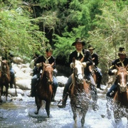 擒贼擒王 Rio Lobo
