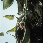 点击查看图片 杰克与豆茎 Jack and the Beanstalk: The Real Story