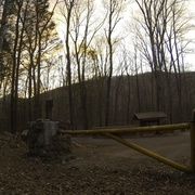 巴克利超级马拉松：测试年轻人极限的赛事 The Barkley Marathons: The Race That Eats Its Young