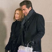 夜行动物 Nocturnal Animals