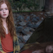 夜行动物 Nocturnal Animals
