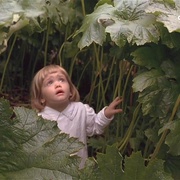 秘密花园 The Secret Garden