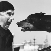 白头神探2½：恐怖的气味 The Naked Gun 2½: The Smell of Fear