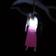 贝尔女巫萦绕 The Bell Witch Haunting
