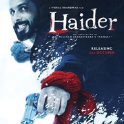 点击查看图片 海德尔 Haider