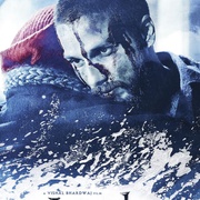 点击查看图片 海德尔 Haider