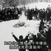 点击查看图片 美国漫画史 Comic Book Confidential