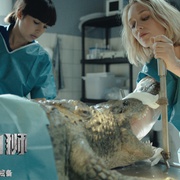 点击查看图片 狂暴凶狮 Prooi