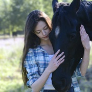 点击查看图片 黑神驹 Black Beauty