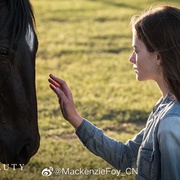 点击查看图片 黑神驹 Black Beauty