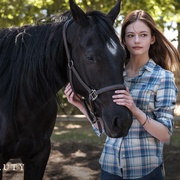 点击查看图片 黑神驹 Black Beauty