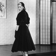 点击查看图片 风流记者 Designing Woman