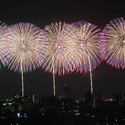 点击查看图片 空中之花 长冈花火物语 この空の花~長岡花火物語