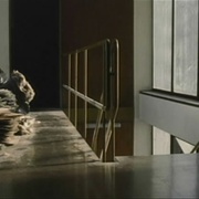 点击查看图片 幻影旅程 Fantasma