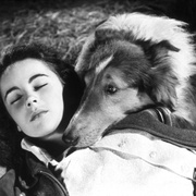 点击查看图片 灵犬莱西 Lassie Come Home