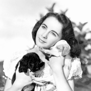 点击查看图片 灵犬莱西 Lassie Come Home