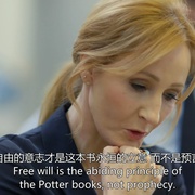 哈利·波特：一段魔法史 Harry Potter: A History of Magic