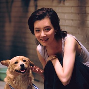 点击查看图片 大男当婚