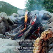 点击查看图片 单挑荒野 第二季 Marooned With Ed Stafford Season 2