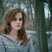 点击查看图片 哈利·波特与死亡圣器(上) Harry Potter and the Deathly Hallows: Part 1