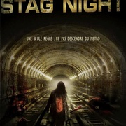 恐怖地铁站 Stag Night