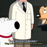 恶搞之家 第十六季 Family Guy Season 16