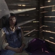 比奥莱塔去往天堂 Violeta se fue a los cielos