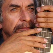 比奥莱塔去往天堂 Violeta se fue a los cielos