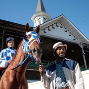 一代骄马 Secretariat