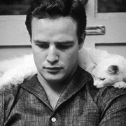 点击查看图片 马龙,听我说 Listen to Me Marlon