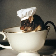 捕鼠记 Mousehunt