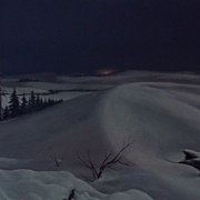 雪山恨 Track of the Cat