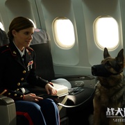 战犬瑞克斯 Megan Leavey