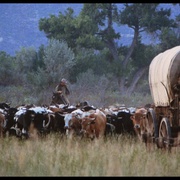 点击查看图片 牛仔路漫漫 The Culpepper Cattle Co.