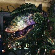 异形奇花 Little Shop of Horrors