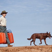 红犬历险记2：蓝犬 Red Dog: True Blue