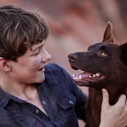 红犬历险记2：蓝犬 Red Dog: True Blue
