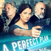 完美计划 A Perfect Plan