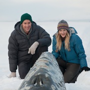 点击查看图片 鲸奇 Big Miracle