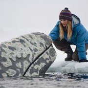 点击查看图片 鲸奇 Big Miracle