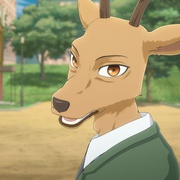 点击查看图片 动物狂想曲 第二季 BEASTARS 2nd Season