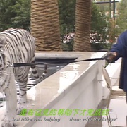 点击查看图片 冠军 Champs