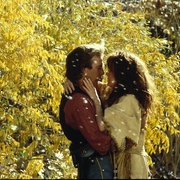 点击查看图片 与狼共舞 Dances with Wolves
