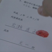 点击查看图片 金丝雀 カナリア